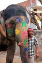 Mahout standing by the painted elephant at small elephant quarters