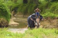 Mahout in Thailand, Asia Royalty Free Stock Photo