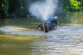 Mahout training elephant in elephant camp Royalty Free Stock Photo