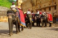 Mahouts and elephants by the Amber Fort in Amer, India