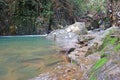 Mahseer Barb Fish in Namtok Phlio National Park waterfall, Chanthaburi , Thailand