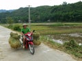 A man transports bales of rice on a motorbike on a road in the Mai Chau valley, Vietnam