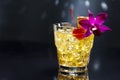 Mai Tai cocktail