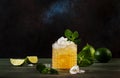 Mai Tai trendy alcoholic cocktail with rum, liqueur, syrup, lime juice, mint and crushed ice. Dark background, bar tools, copy Royalty Free Stock Photo