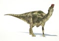 Maiasaura dinosaur, photorealistic representation. Dynamic view. Royalty Free Stock Photo
