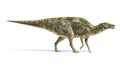 Maiasaura dinosaur, photorealistic representation. Side view.