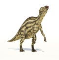 Maiasaura dinosaur, young child, photorealistic representation.