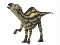 Maiasaura Juvenile Dinosaur Royalty Free Stock Photo