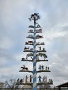 Maibaum or Maypole in Fredericksburg, Texas` Markplatz