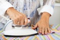 Maid Ironing Clothes Royalty Free Stock Photo