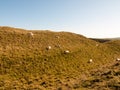 maiden castle iron age old fortress landscape nature grassland a Royalty Free Stock Photo