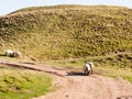 maiden castle iron age old fortress landscape nature grassland a Royalty Free Stock Photo