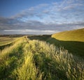 Maiden Castle Royalty Free Stock Photo