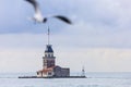 Maiden Tower in Istanbul with cloudy sky and blured seagull Royalty Free Stock Photo