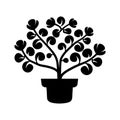 Maidenhair Fern plant Icon.