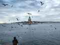 Maidens Tower and seagulls