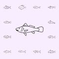 maigre icon. Fish icons universal set for web and mobile Royalty Free Stock Photo