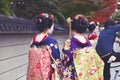 Maiko couple walking in Kyoto, Japan