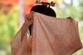 Maiko girl dancing, Kyoto Japan