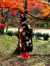 Kimono woman under autumn leaves, Kyoto Japan.