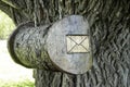 Mail box