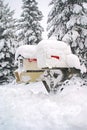 Mail Box Covered in Snow