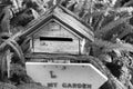 Mail box vintage style with green ferns. Royalty Free Stock Photo