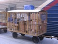 Mail cart with letters and parcels near the car loaded Russian post Novosibirsk station