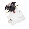 Mail delivery post dog Royalty Free Stock Photo