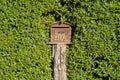 Mailbox in Bush Fence