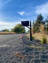 A mailbox on a dirtroad in the countryside with American flags. Royalty Free Stock Photo