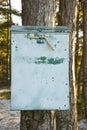 Mailbox in the forest