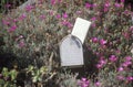 Mailbox with outgoing mail, Ventura, CA