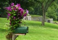 Mailbox with Purple Flowers Royalty Free Stock Photo