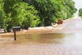 Mailbox and road under water from severe floods in midwest