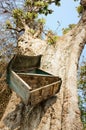 Mailbox, tree trunk, mail box Royalty Free Stock Photo