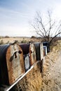 Mailboxes in midwest usa