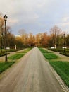 Main alley in the park in Poland