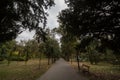 Main alley, a paved path, of the Gradski park, also called city park, in Pancevo, serbia, surrounded by high trees and benches.