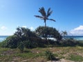 Main Beach, Gold Coast Royalty Free Stock Photo