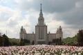 The main building of Moscow State University and a flower bed of tulips Royalty Free Stock Photo