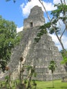 Main building of old maya ruin