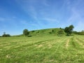 Main Cahokia Mound from a Distance