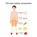 The main cellular components of the human body. Tissue and cells Royalty Free Stock Photo
