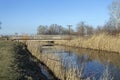 Main Channel of the Danube valley near Szabadszallas in Hungary