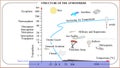 Atmosphere of Earth and layers, airspace