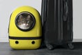 Main coon cat looking curious out of a backpack carrier next to a travel suitcase.