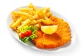 Main Entree - Crumbled Schnitzel with Crispy Fries
