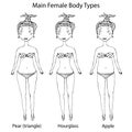 Main Female Body Shape Types. Hourglass, Pear or Triangle and Apple. Realistic Hand Drawn Doodle Style Sketch. Vector