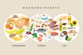 Main food groups - macronutrients. Carbohydrates, fats and proteins in comparison, foods icons in flat design isolated